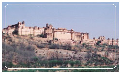 Amber Fort Jaipur, Rajasthan India