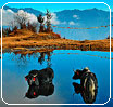 Arunachal Pradesh - Tawang Lake yaks