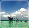 Andaman & Nicobar Island