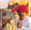 Rajasthan Tour